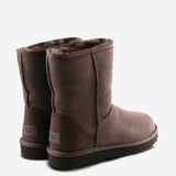 Brown shoes, back view