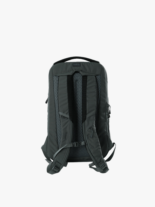 Green bag, back view
