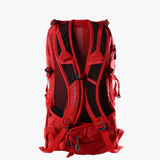 Red bag, back view
