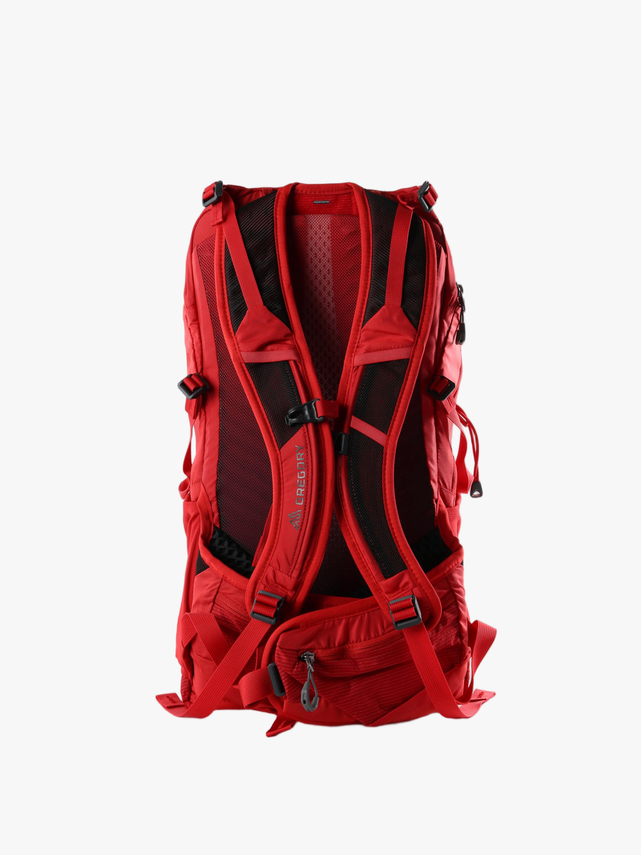 Red bag, back view