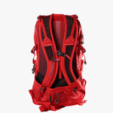 Red bag, back view