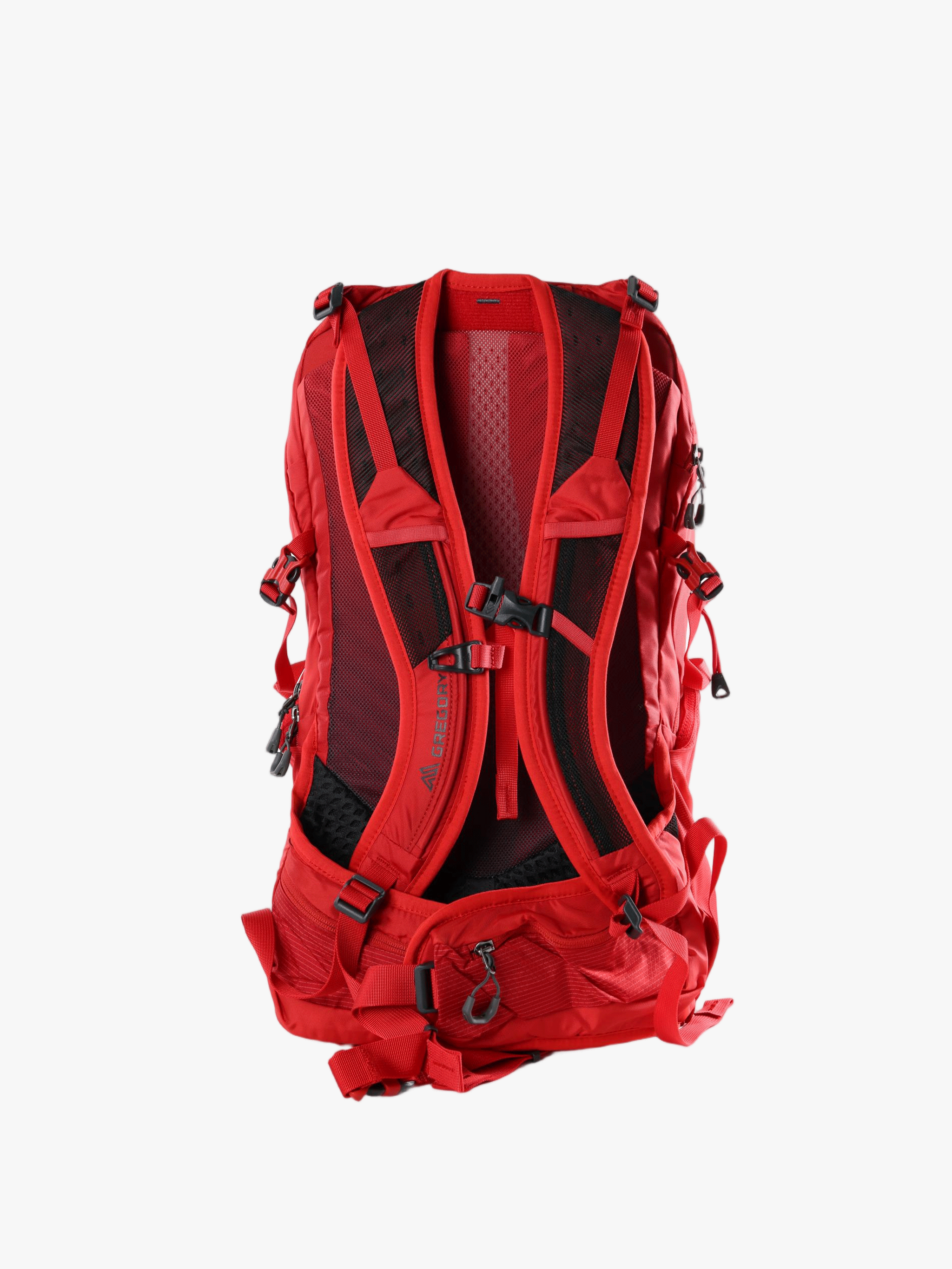 Red bag, back view