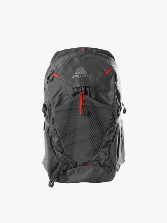 Grey bag, back view