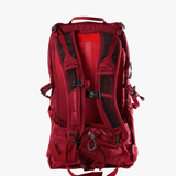 Red bag, back view