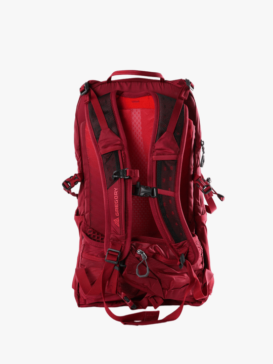 Red bag, back view