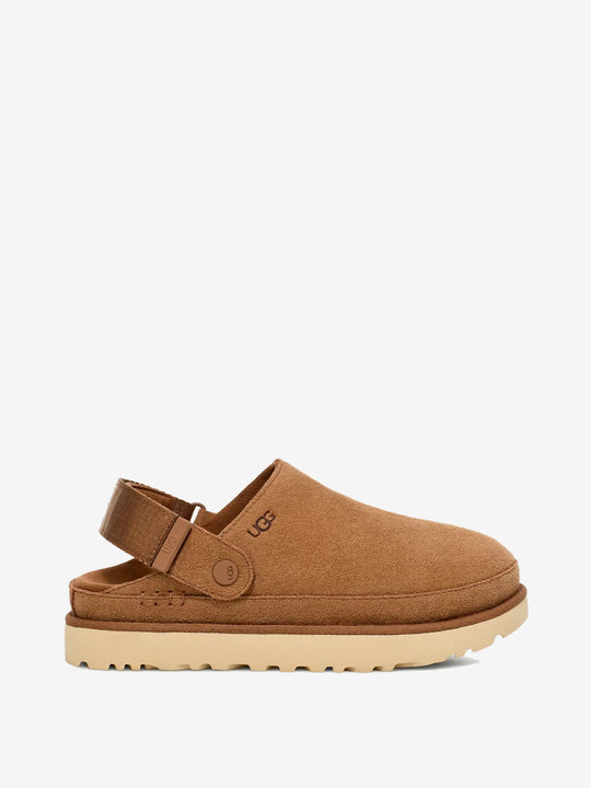 Brown shoes, front view