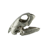 Unknown product, front view