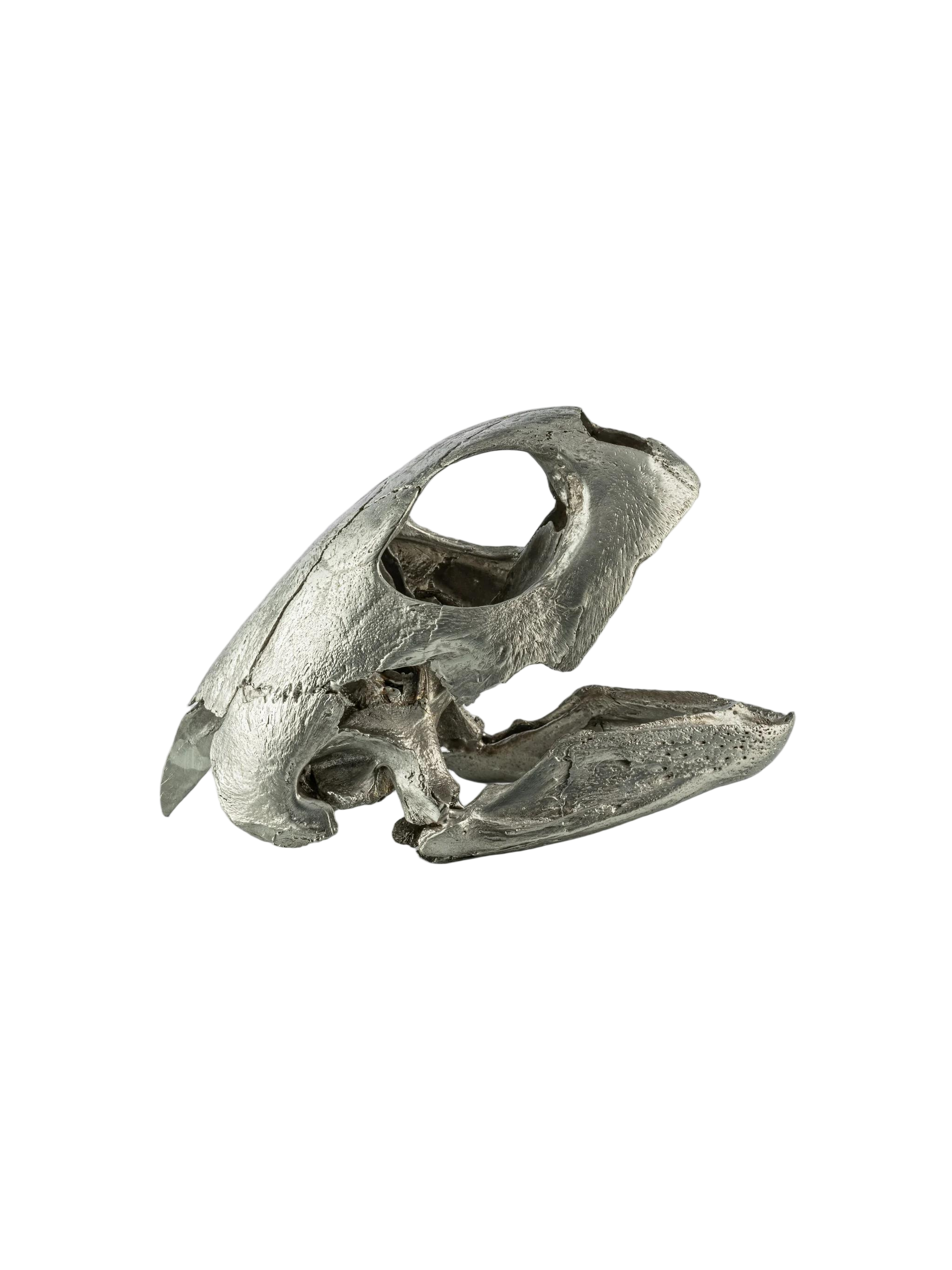 Unknown product, front view