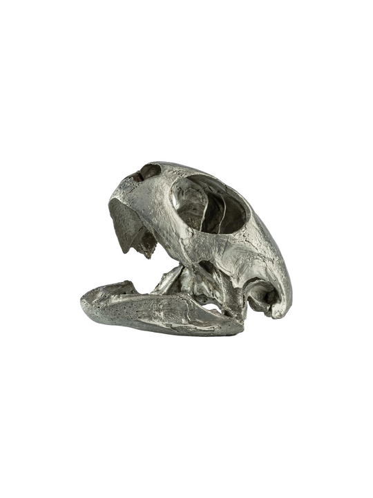 Unknown product, front view