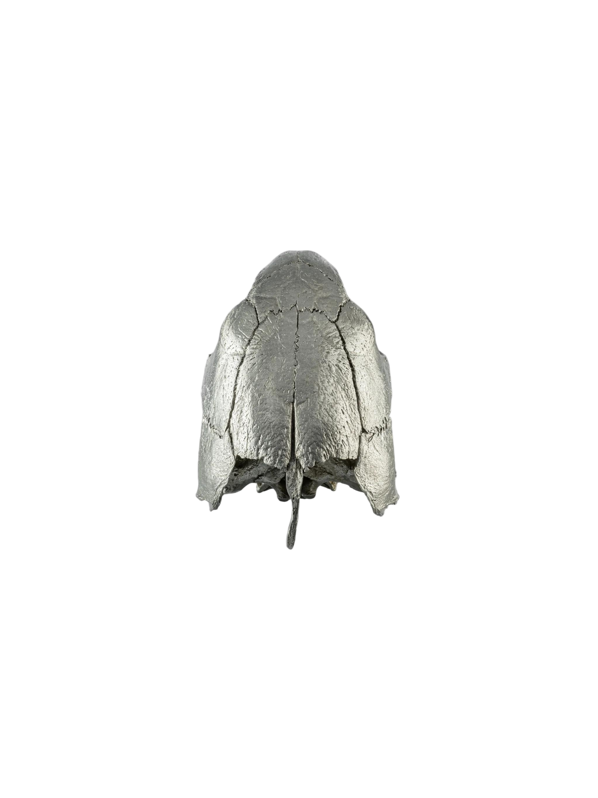 Unknown product, front view