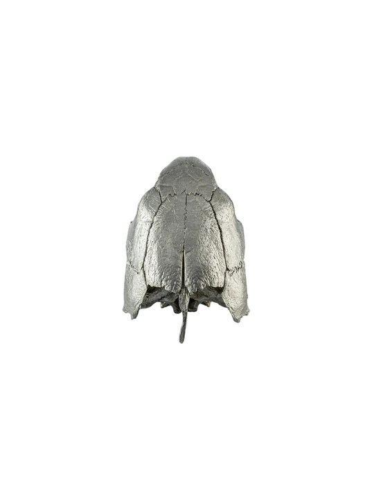 Unknown product, front view