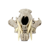 PARTS OF FOUR - Leopard Skull (CR+B)