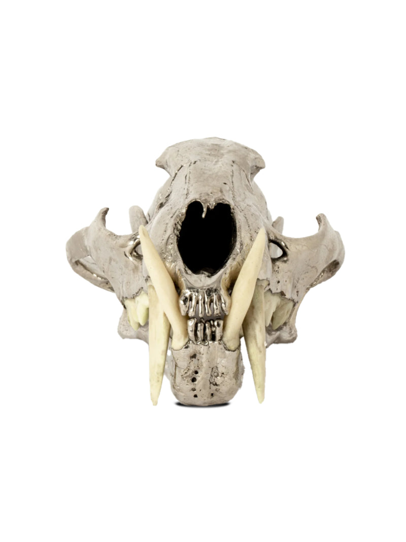 PARTS OF FOUR - Leopard Skull (CR+B)