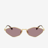 Pink sunglasses, front view