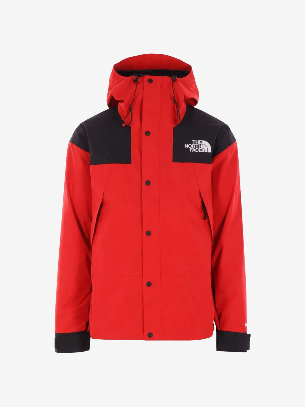 THE NORTH FACE - Men GTX Mountain Jacket