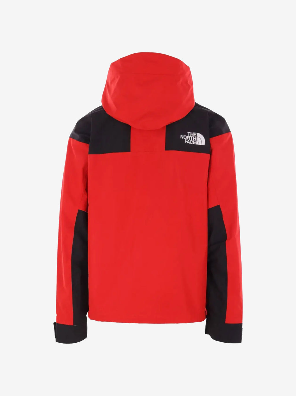 THE NORTH FACE - Men GTX Mountain Jacket