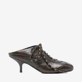 Brown heel, front view