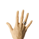PARTS OF FOUR - Chasm Ring v2 (Wide, PA)