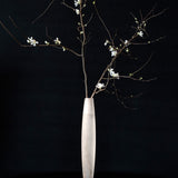 ANN DEMEULEMEESTER X SERAX - Vase Lance