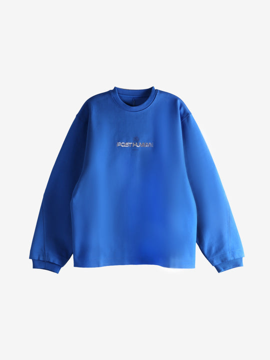 Blue sweatshirt, front view