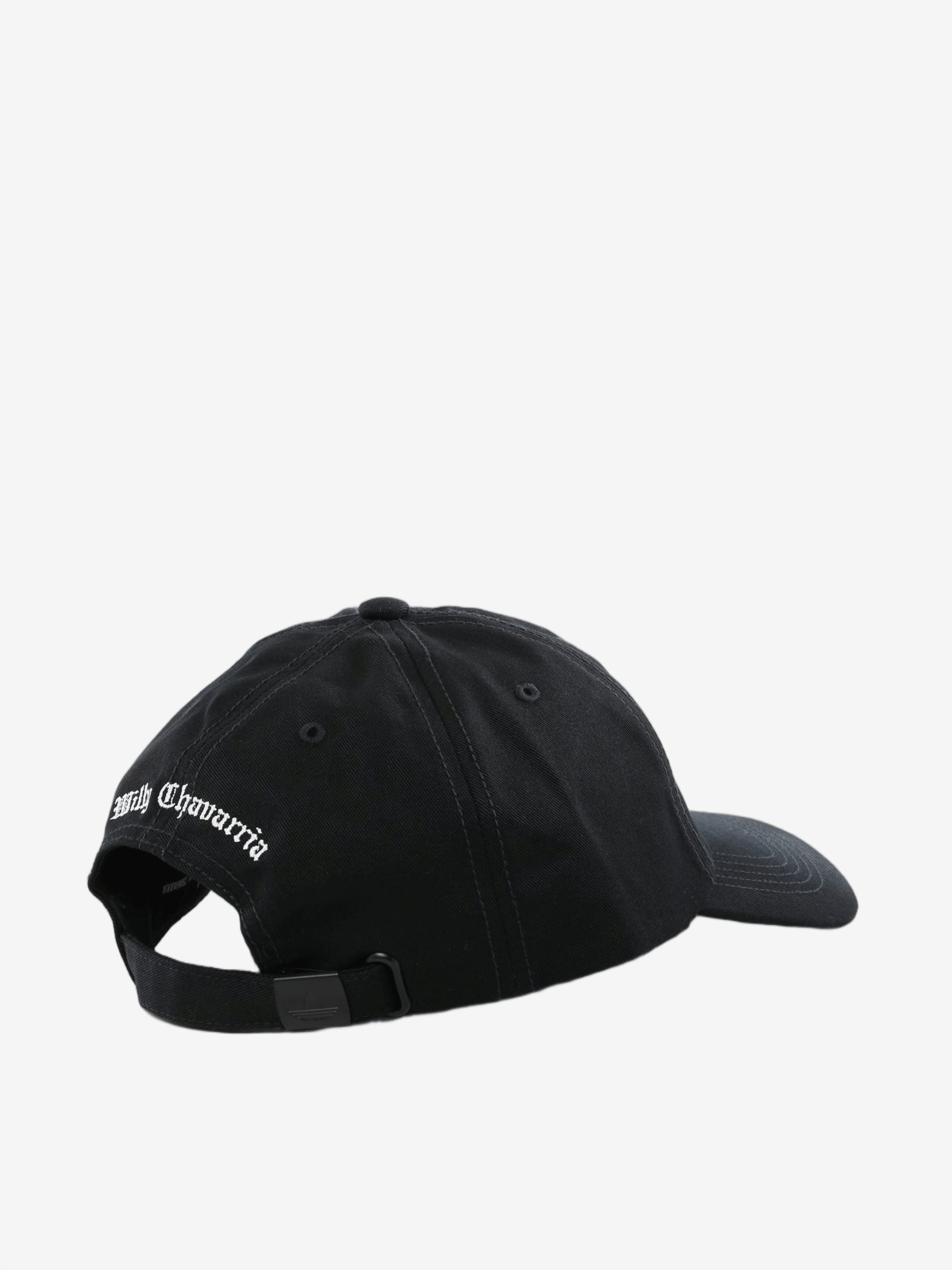 Black hat, back view