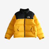 Yellow jacket, front view