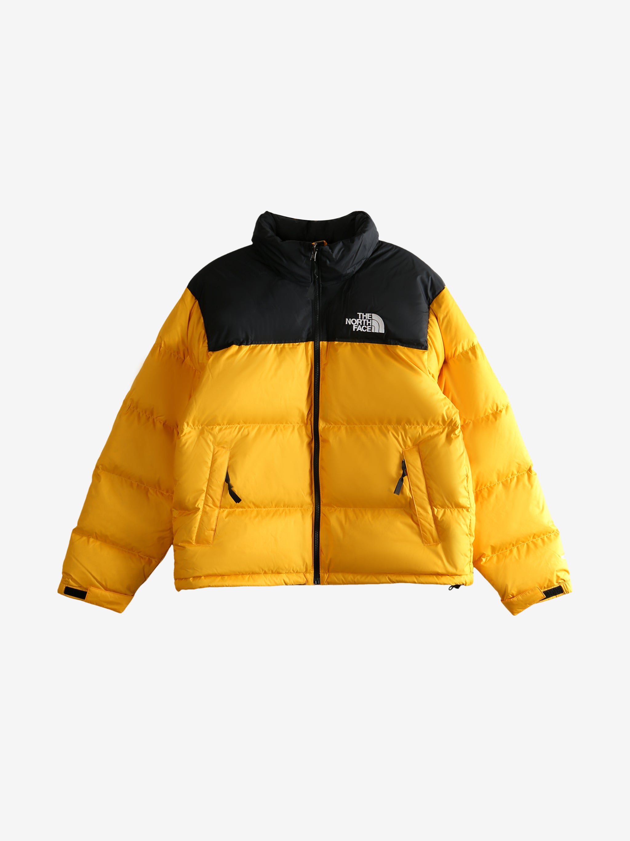 Yellow jacket, front view