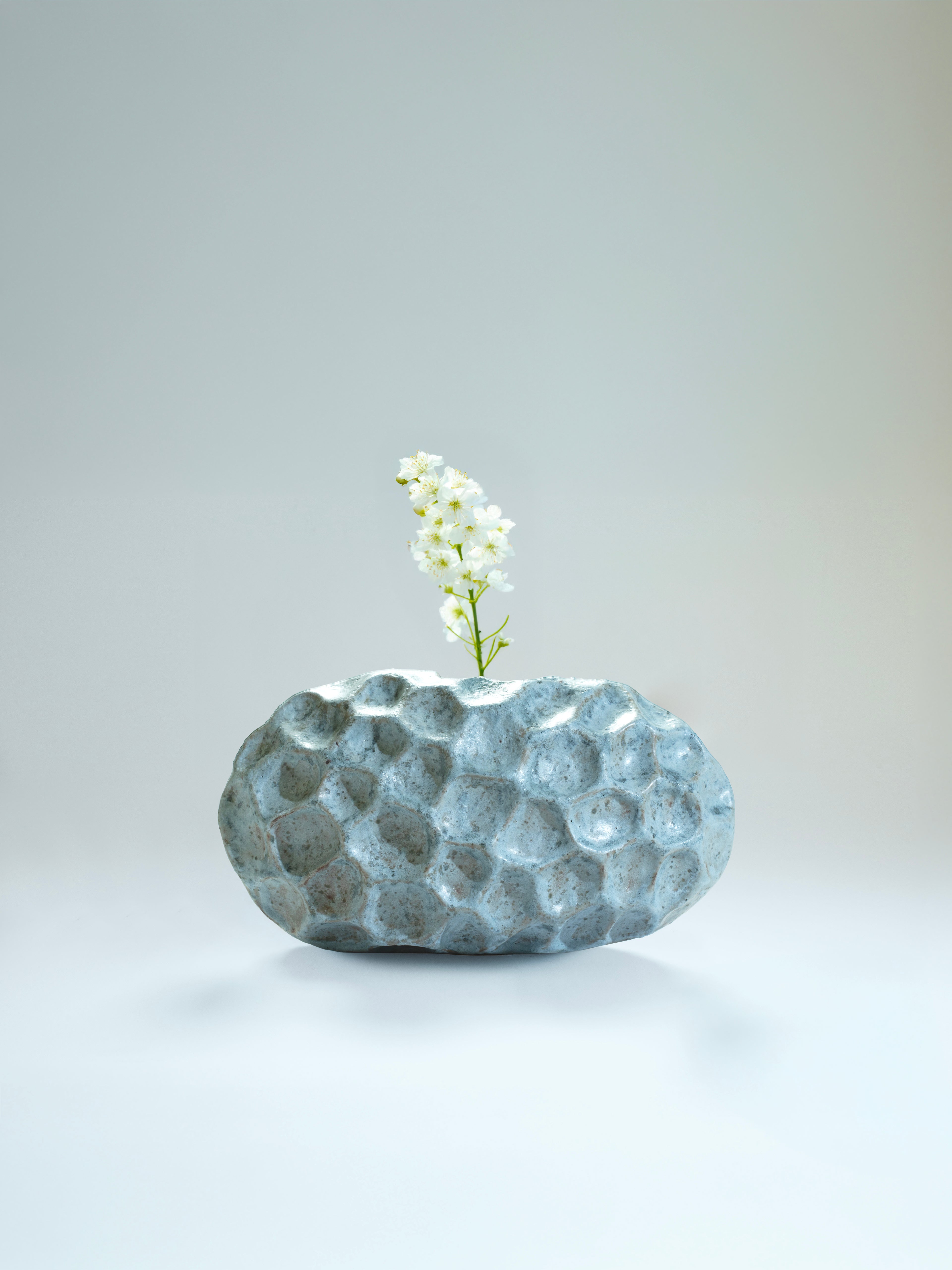 Ann Shure ceramic stone vase in azure glaze with white bloom, styled view showing floral display.