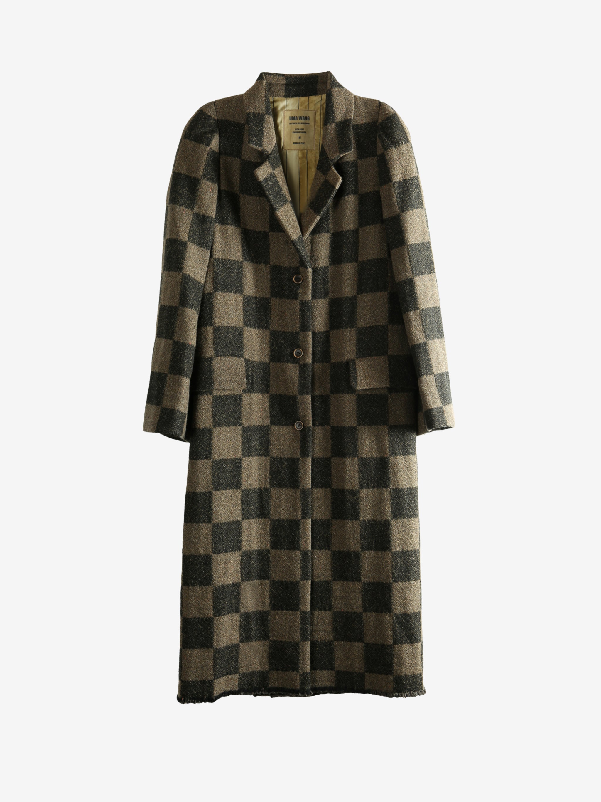 Brown coat, front view