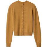 Tan hoodie, front view