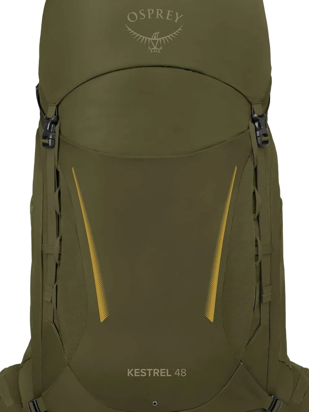 Green bag, back view