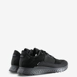 Black shoes, back view