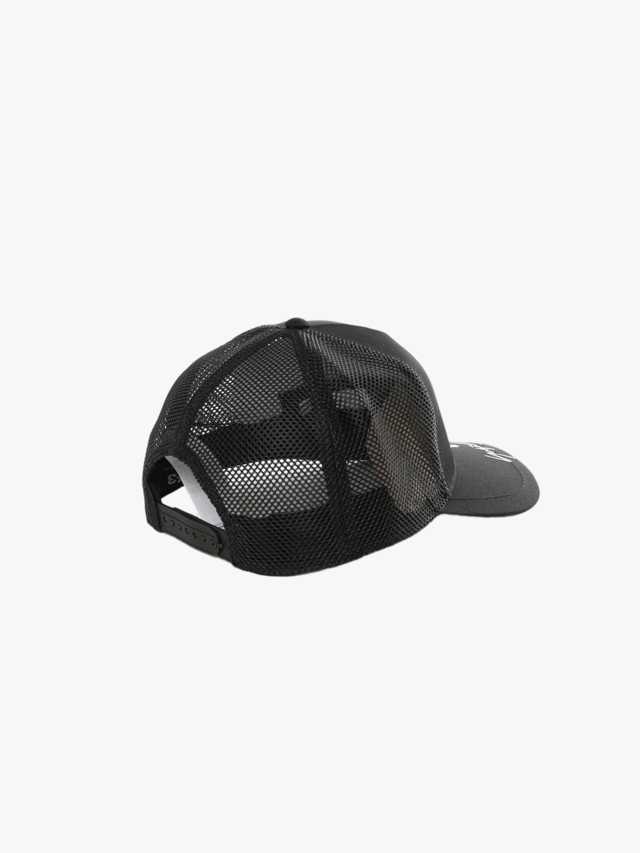 Black hat, back view