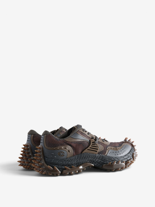Brown shoes, side view