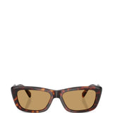 Brown eyewear, front view