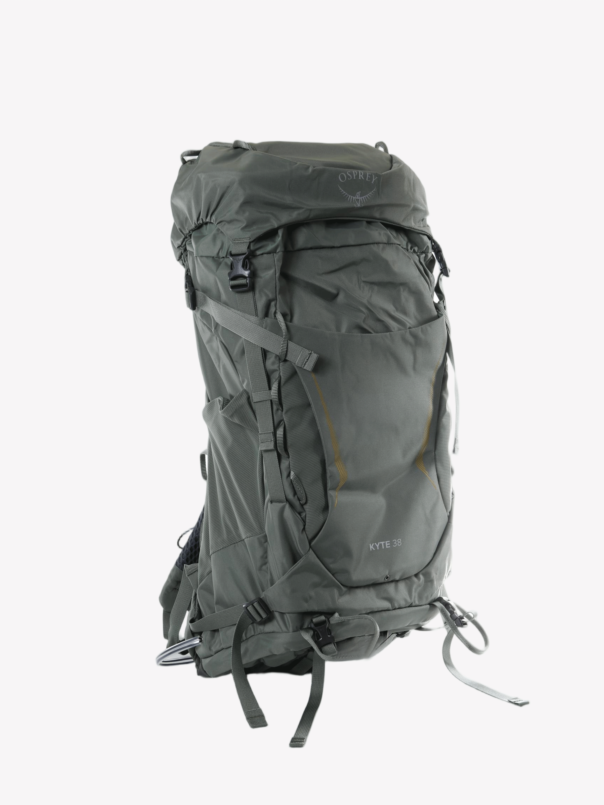 Green bag, back view