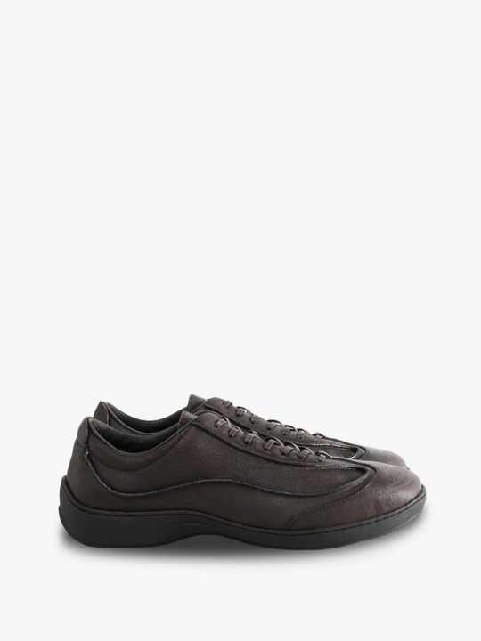 Brown shoes, front view