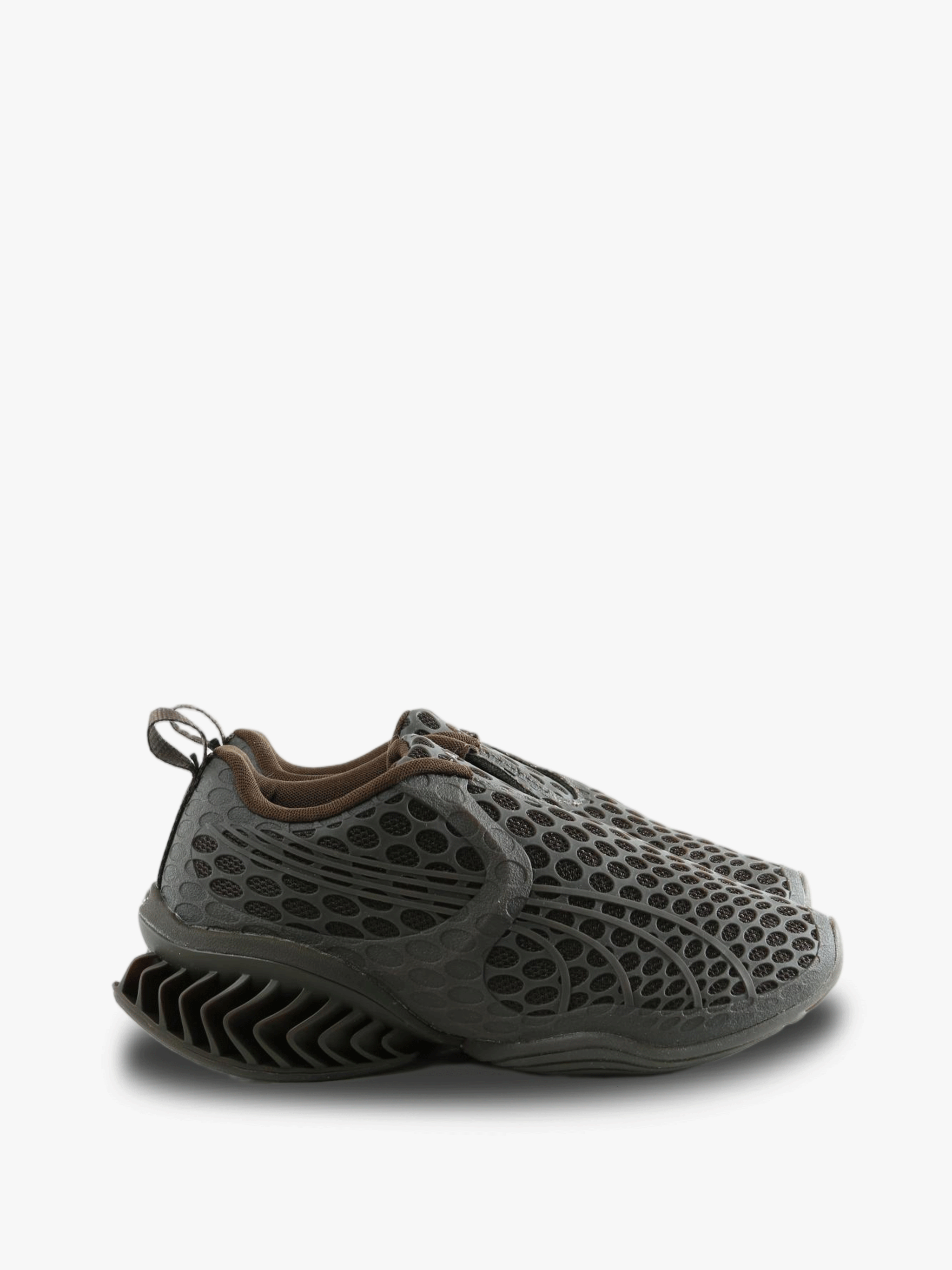 Brown shoes, front view