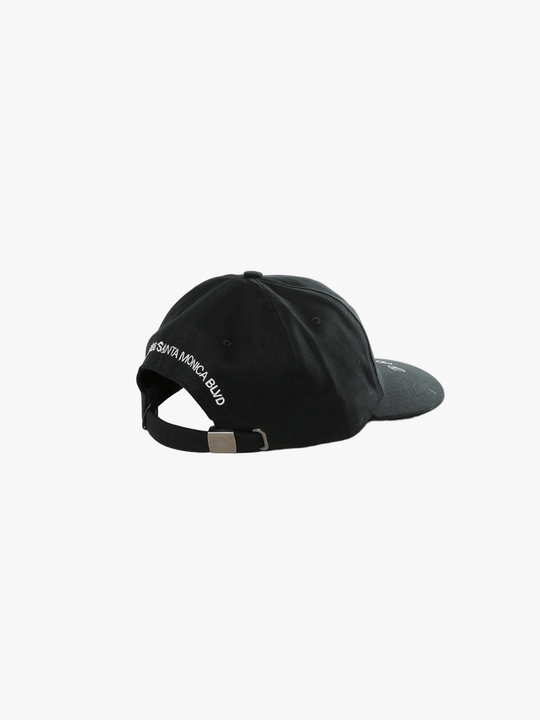 Black hat, back view