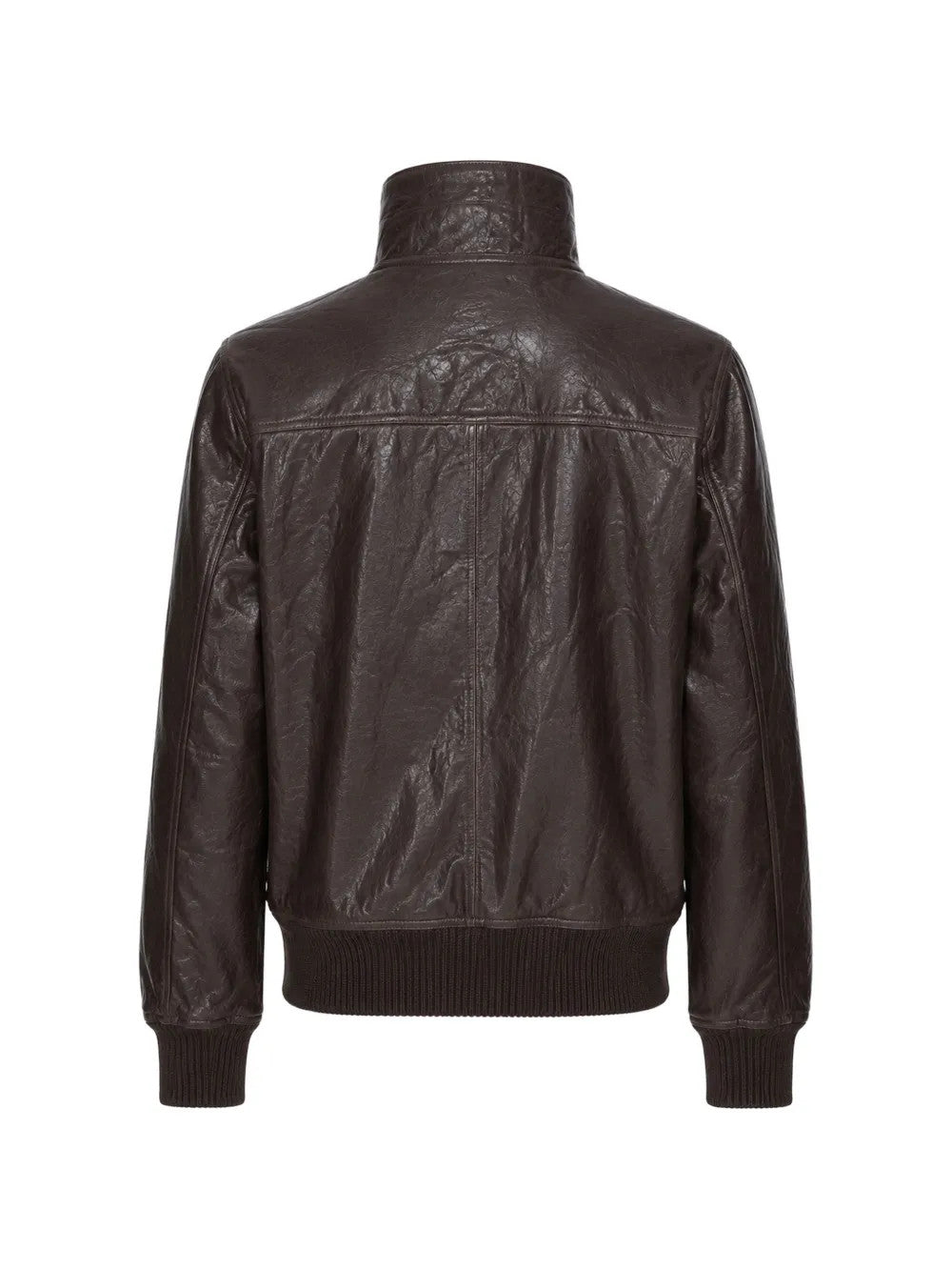 Brown jacket, back view