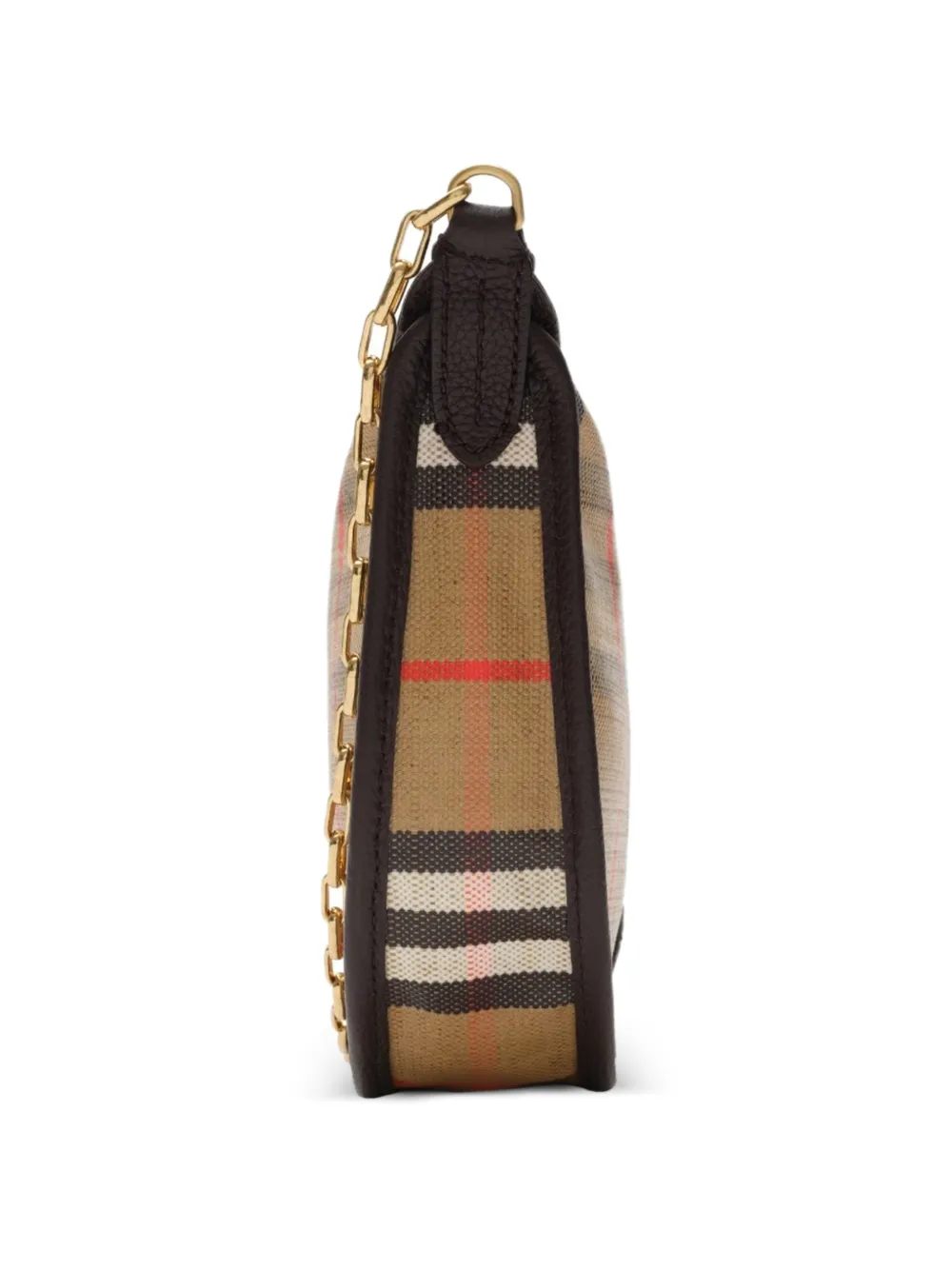Brown bag,side view