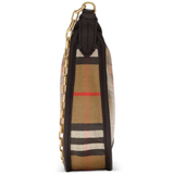 Brown bag,side view