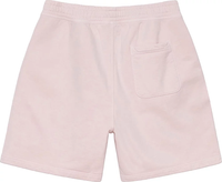 STUSSY - Men Stock Logo Short