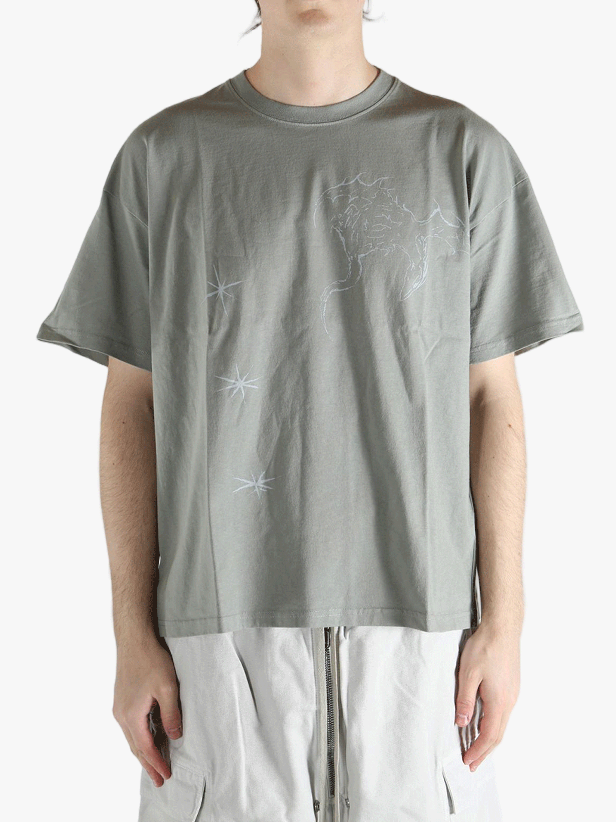 Grey t-shirt worn by a person, showing the shirt's fit