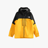 Yellow jacket, front view