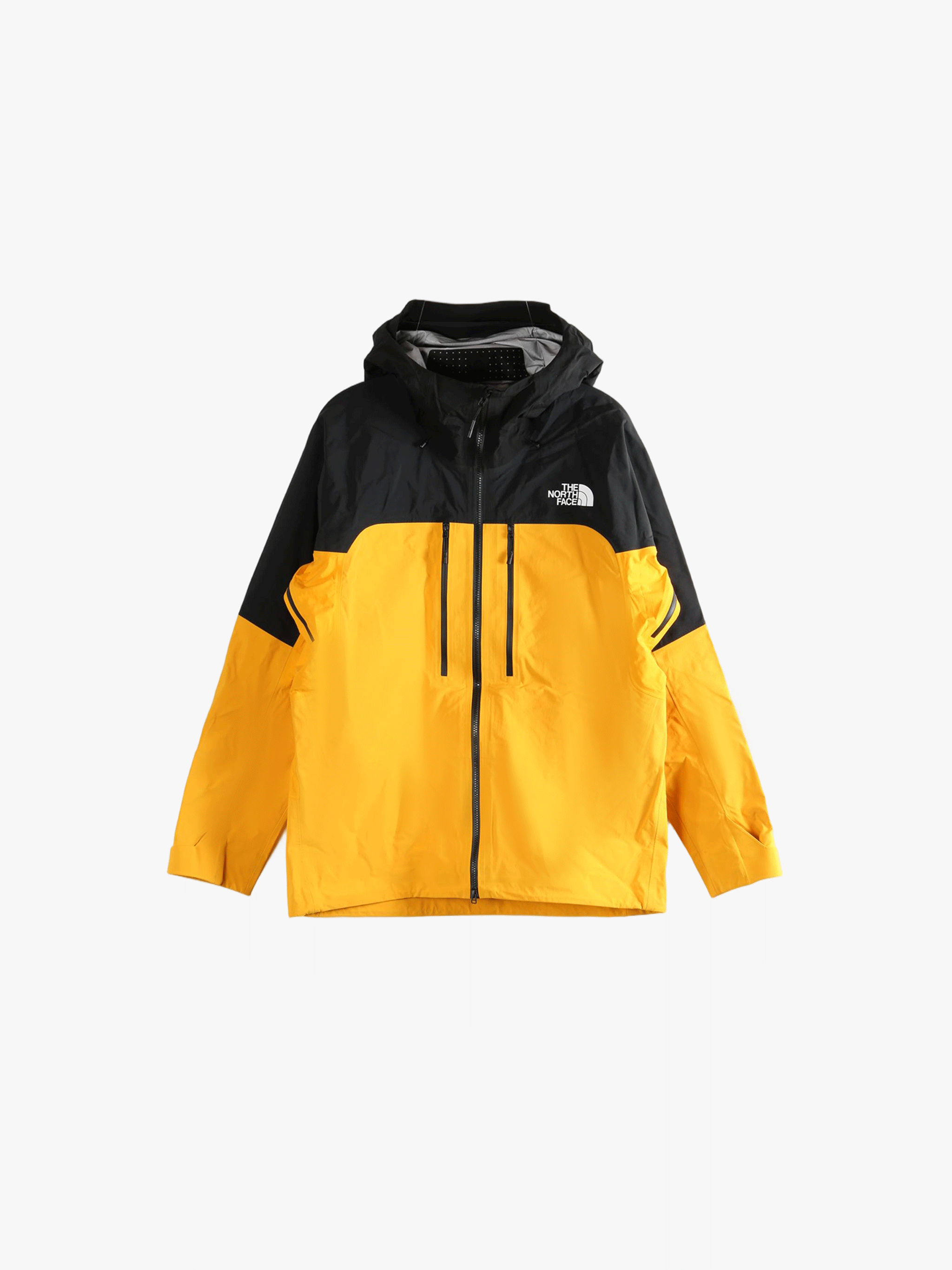 Yellow jacket, front view