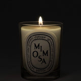 DIPTYQUE - Mimosa Classic Candle
