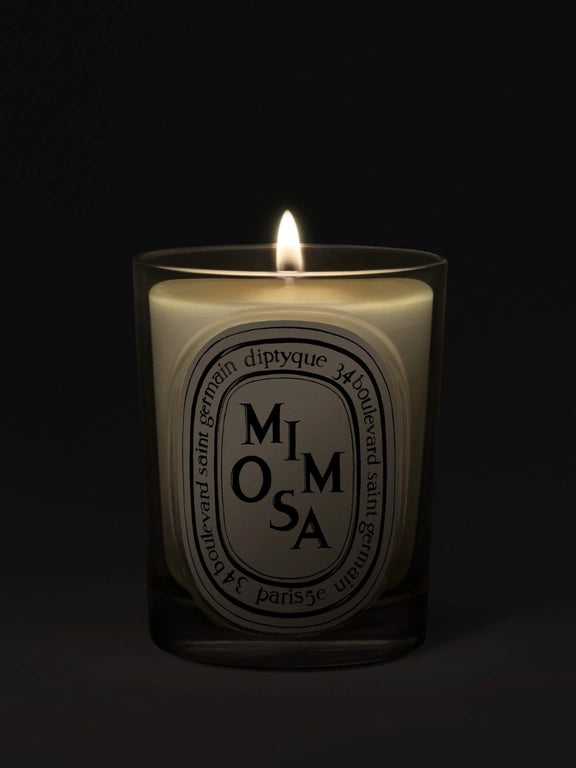 DIPTYQUE - Mimosa Classic Candle – Atelier New York DIPTYQUE - Mimosa Classic Candle – Atelier New York