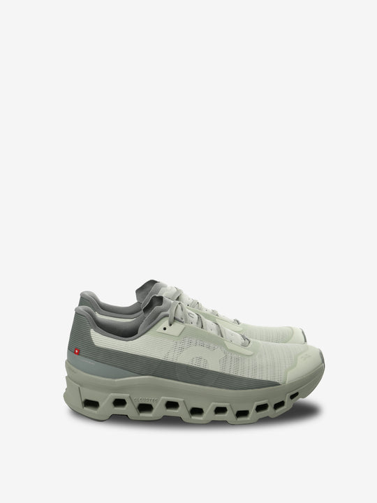 Grey senakers,front view