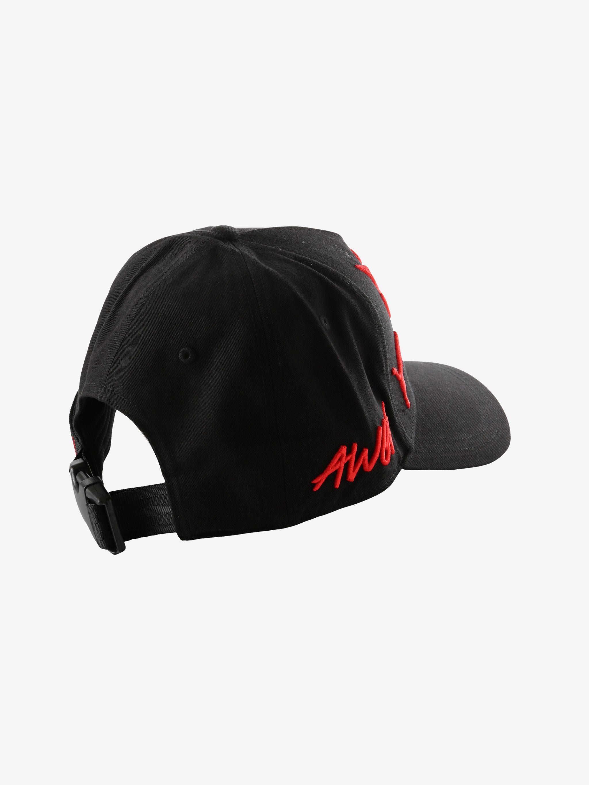 Black hat, back view